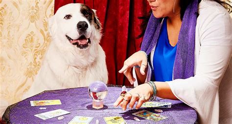 Pet psychic near me - Make an appointment with a pet psychic or animal communicator in Delaware, and open communication between you and your pet! Animal communicators in Delaware can understand and convey the thoughts, emotions, and needs of pets, often facilitating a deeper connection between pet owners and their animals. While this concept is met with skepticism ... 